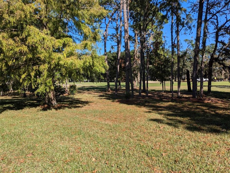 back of home looking at golf course