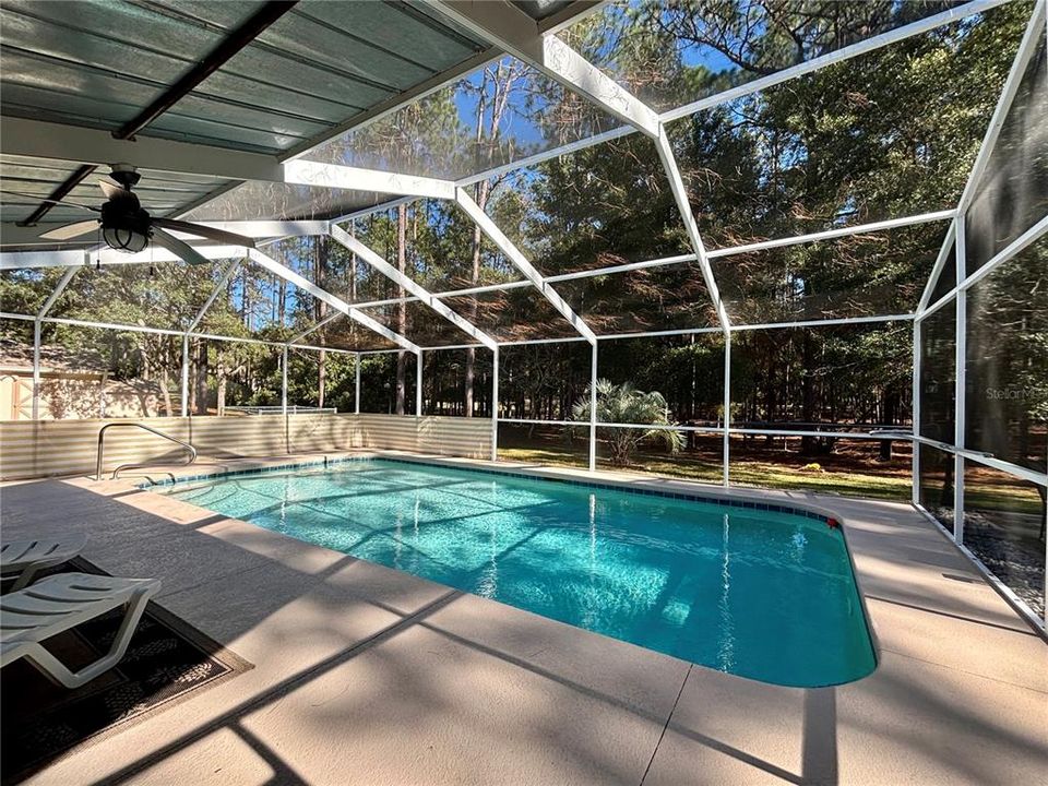 Screened pool area