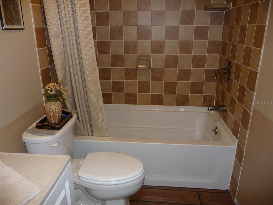 Guest Bath w Soaker tub