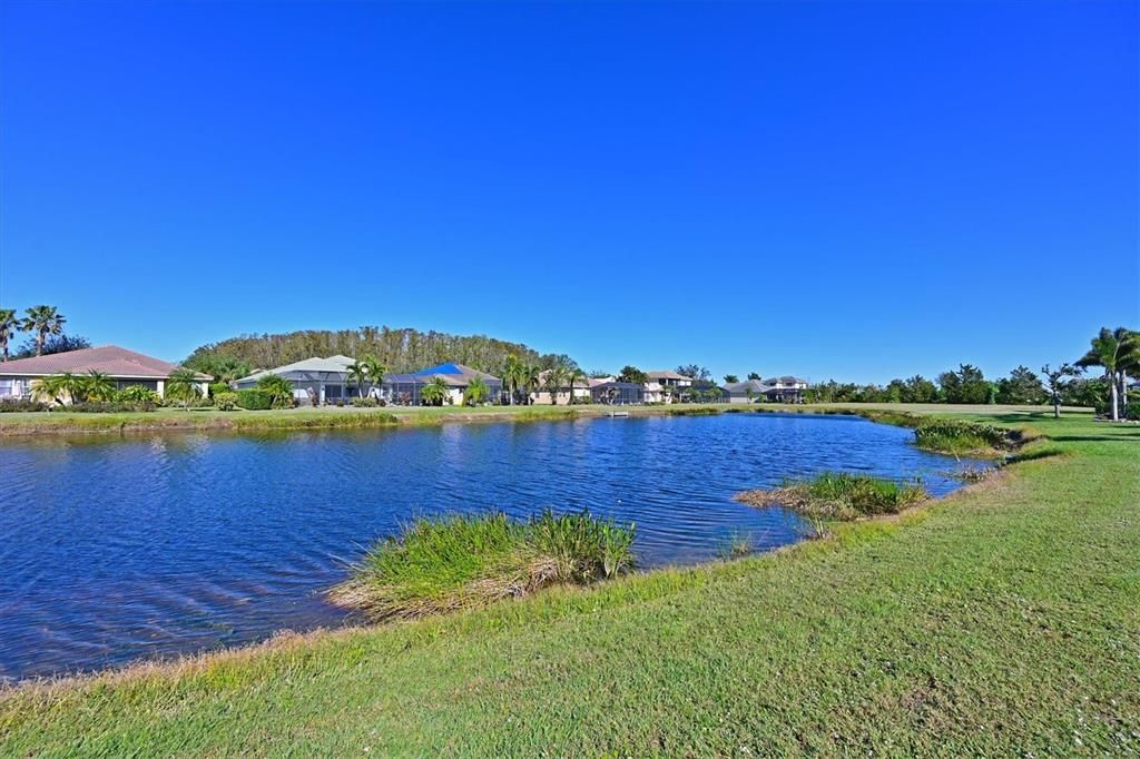 Back Yard w/ Pond View