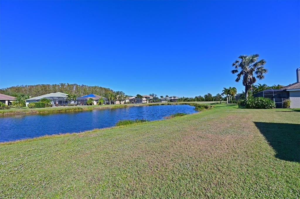 Back Yard w/ Pond View