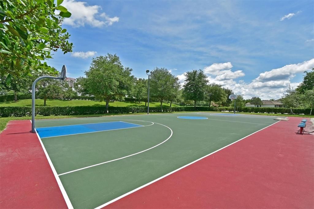 Basketball Court