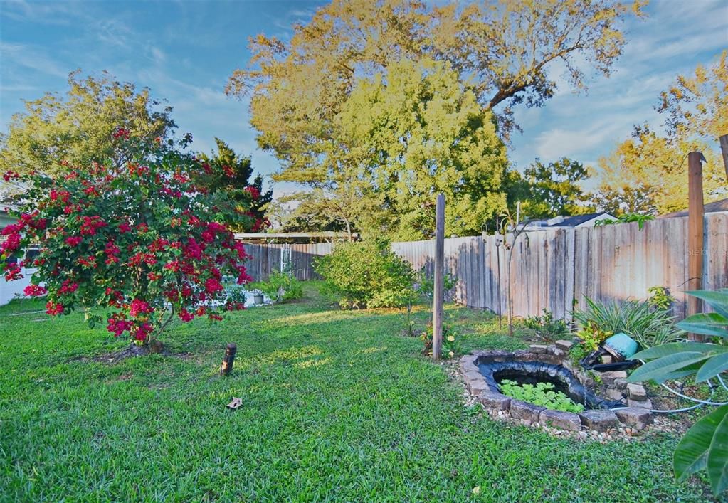 Lots of flowering bushes and fruit trees