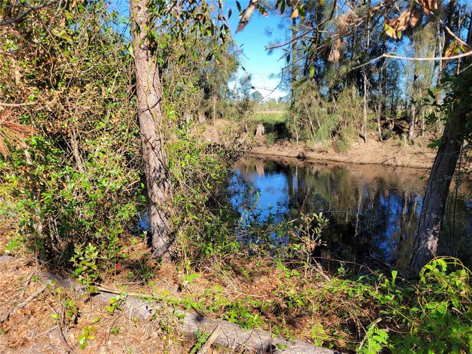 Fresh Water Canal/Creek