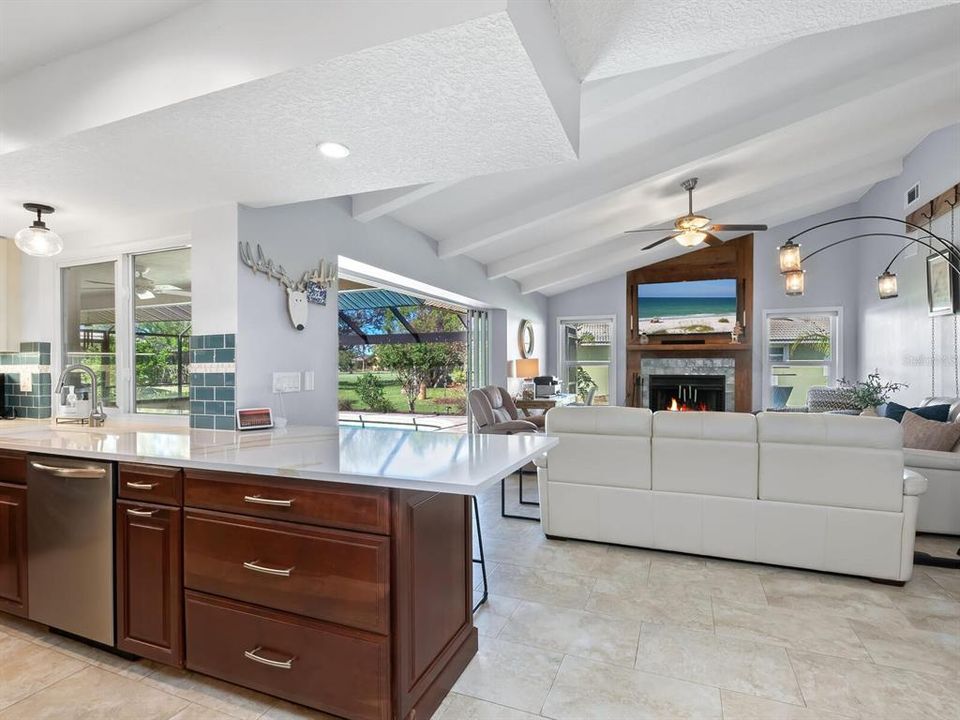 Kitchen / Family Room