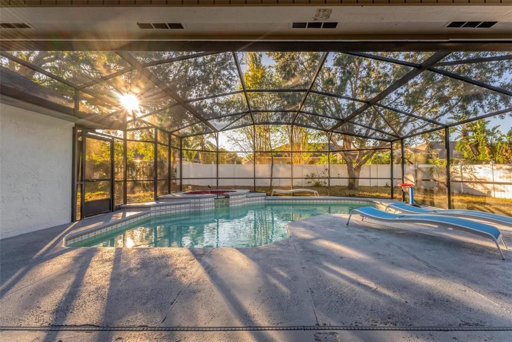 Pool Deck / Backyard