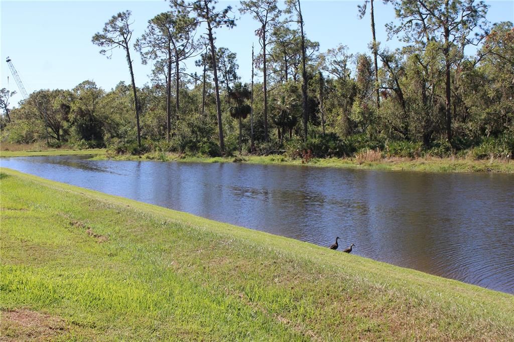 Beautiful preserve view