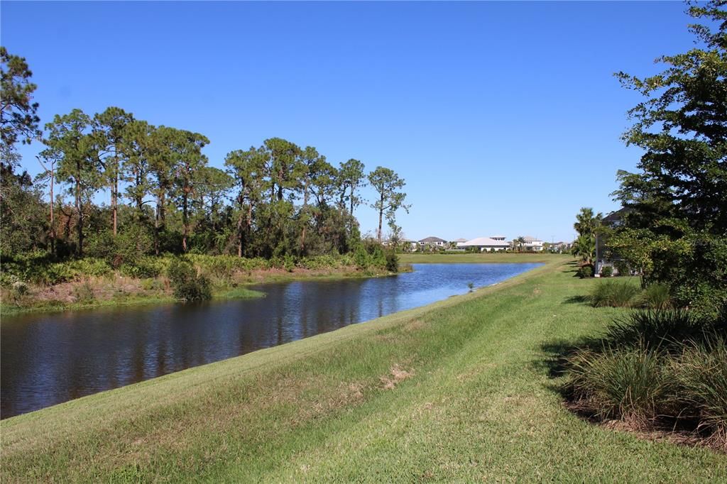 Beautiful preserve view