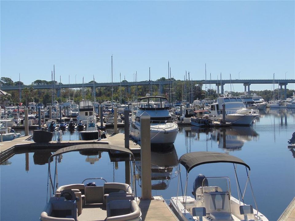 The Hammock Beach Marina is located in the community.