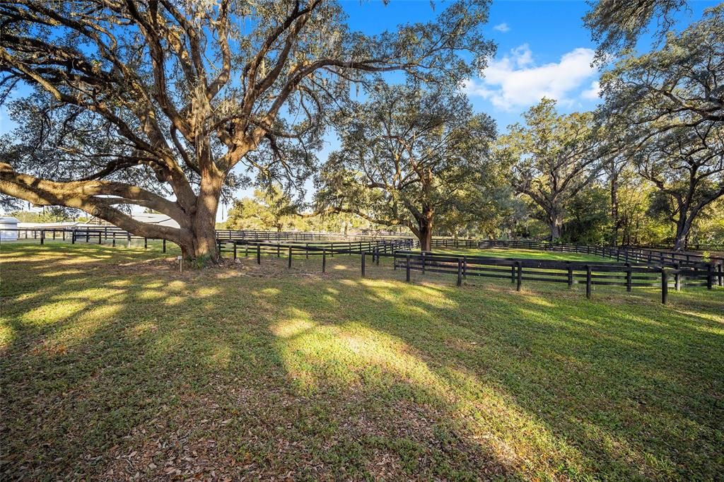 Back Paddock