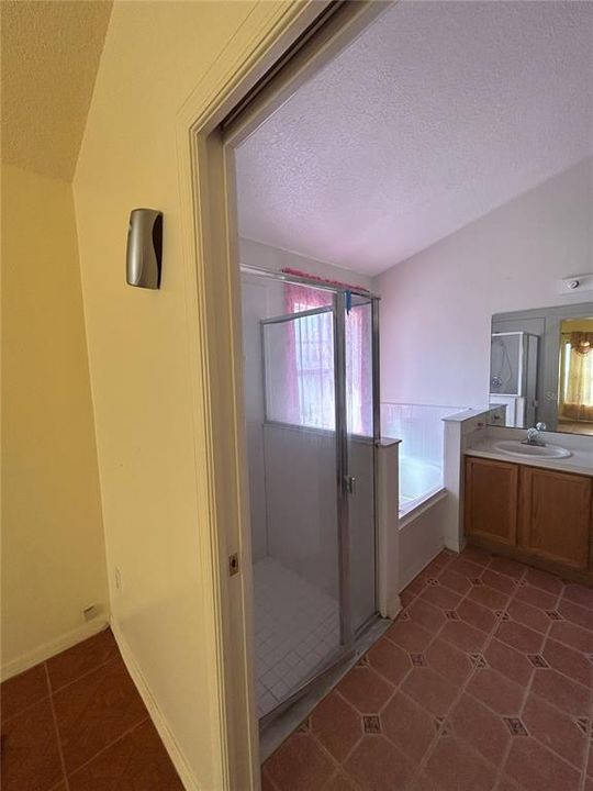 Main bedroom Ensuite with shower and tub