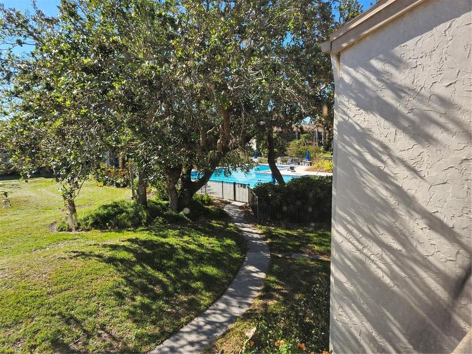 View from Lanai to pool