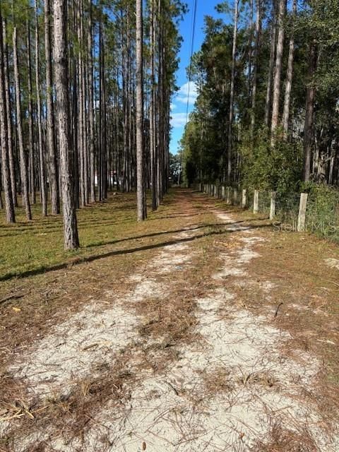 long driveway