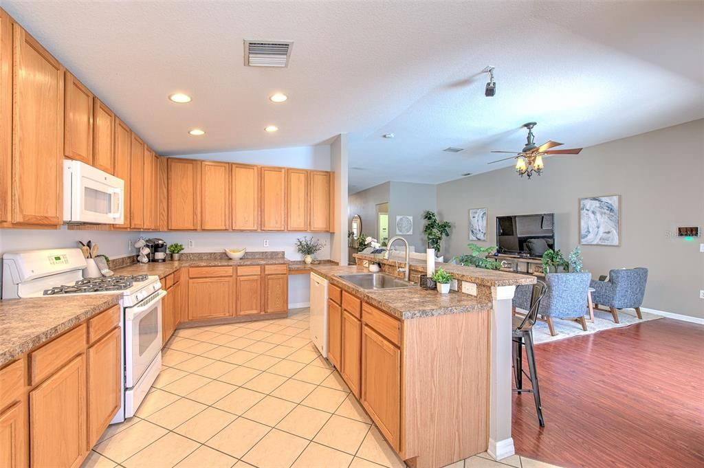 Large Kitchen