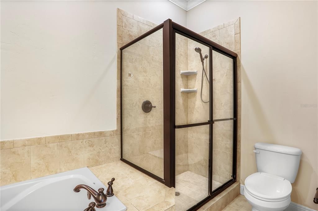 Primary suite's shower enclosure and tub