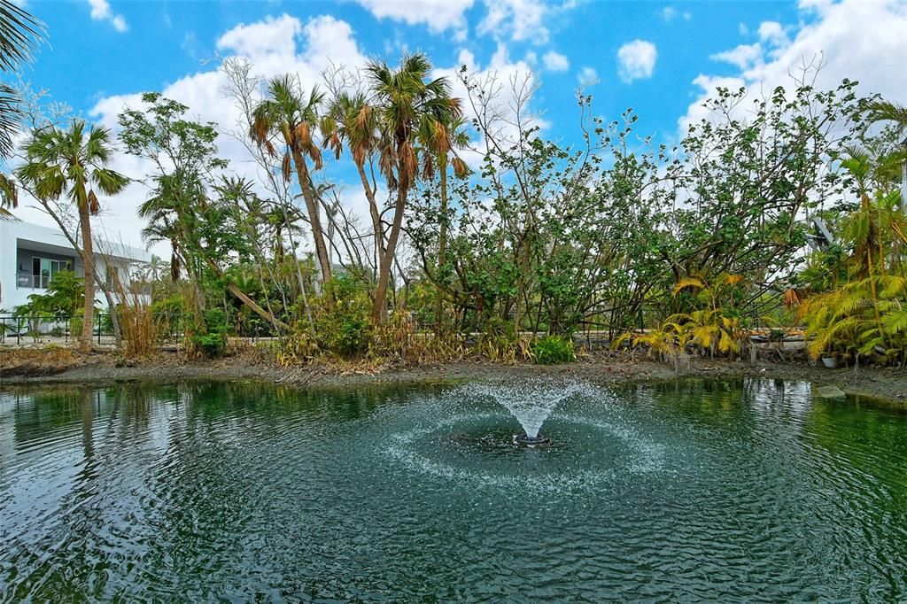 Rear pond and water feature view from lanai