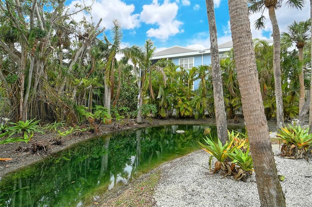 Front pond and water feature.