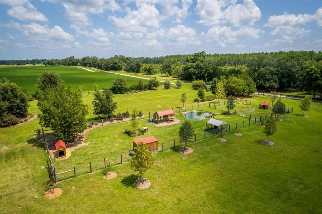 Small Animals enclosure