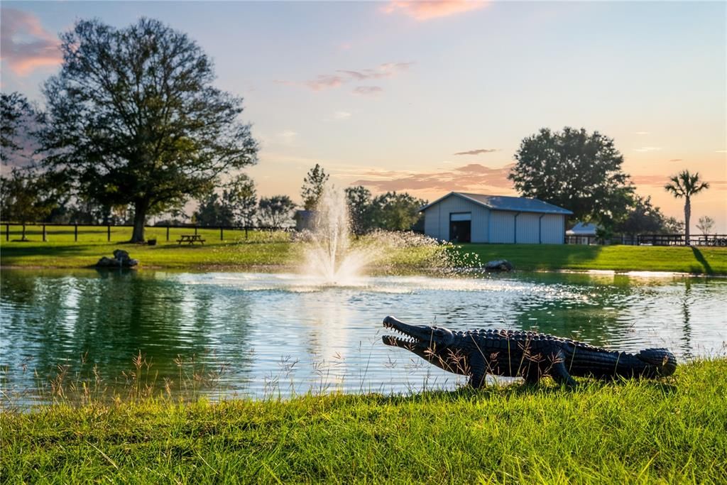 Main pond