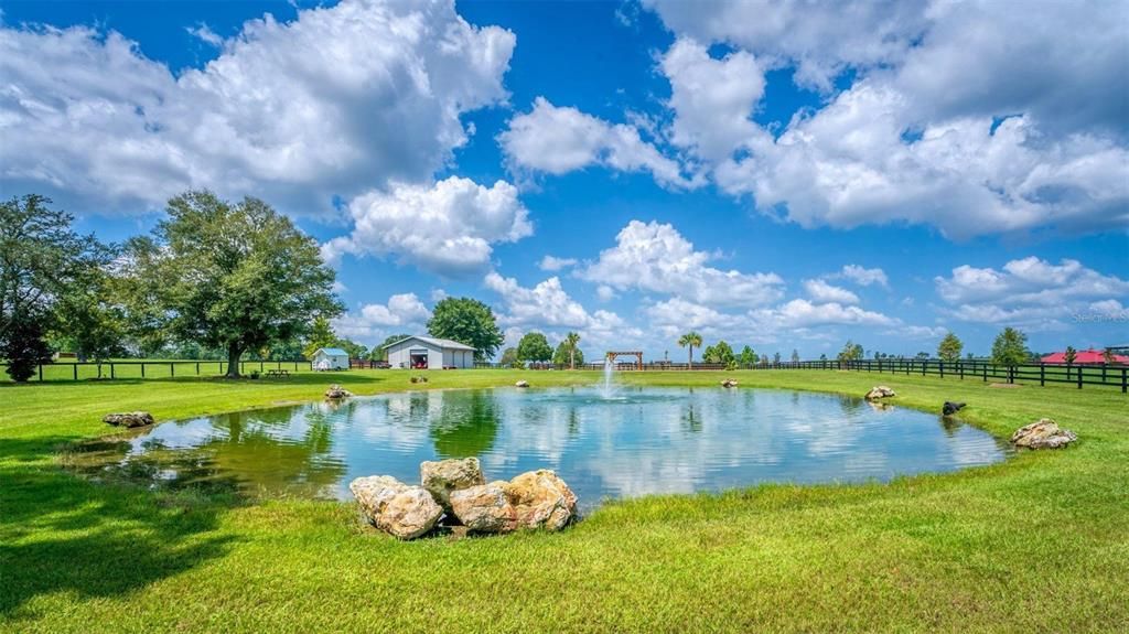 Larger pond by the Arena