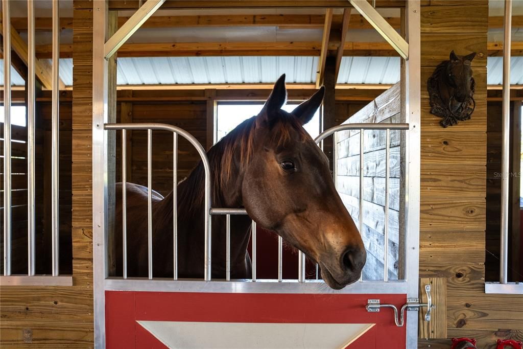 New Barn