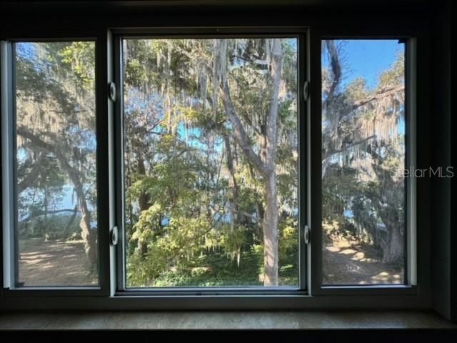 View of Lake through the trees fm Liv Rm