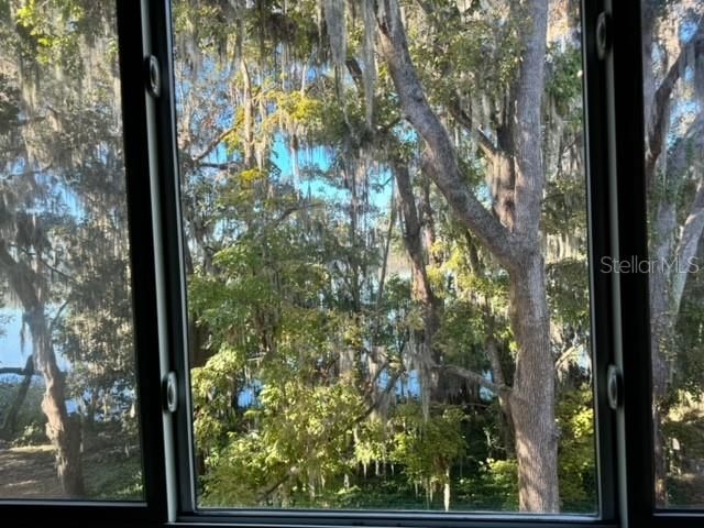 View of Lake through the trees fm Liv Rm