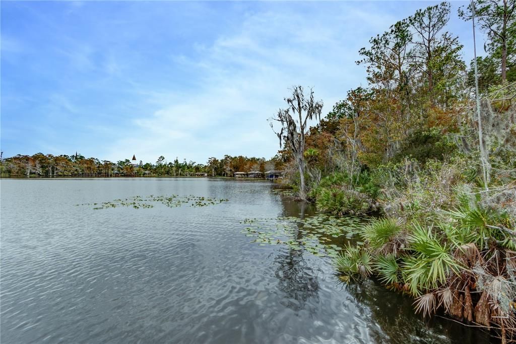 lovely Florida water & conservation