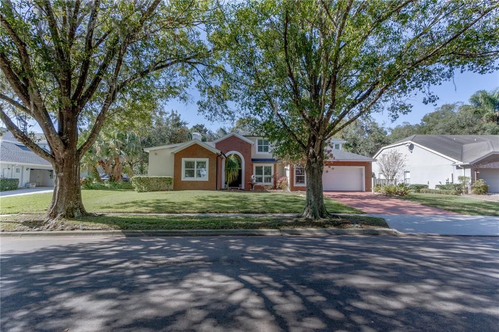 tree lined streets