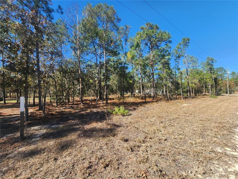 For Sale: $36,500 (1.25 acres)