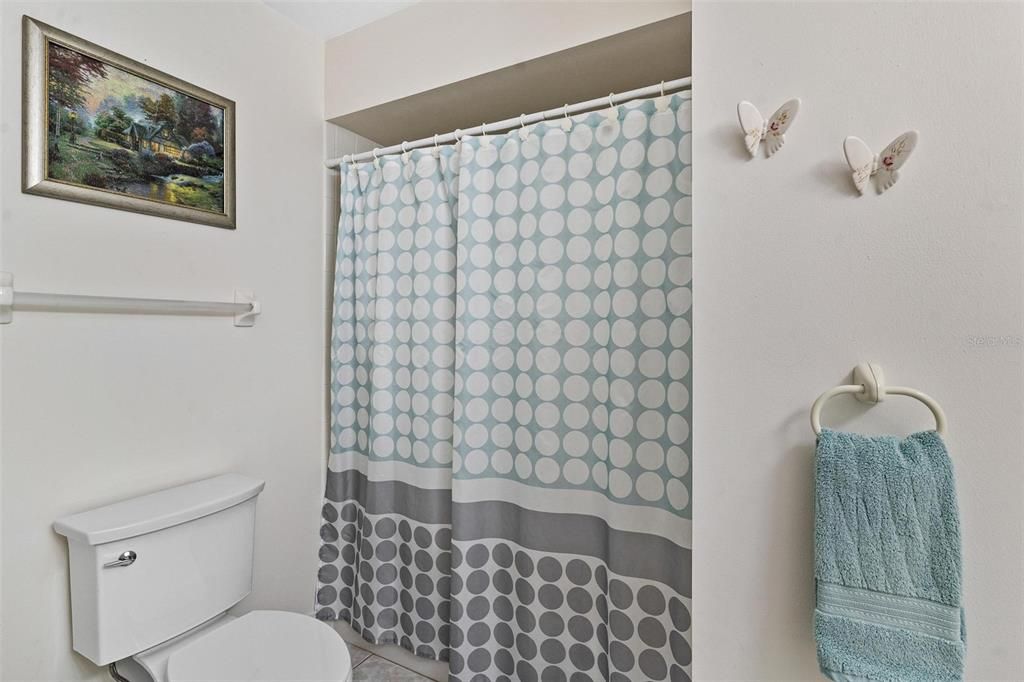 Guest Bathroom with Tub and Shower Combo