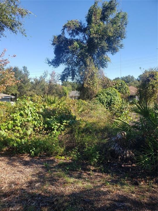 Almost a Quarter Acre lot