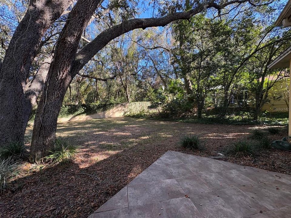 Large yard with view of wall