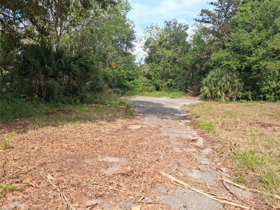For Sale: $1,275,000 (4.66 acres)