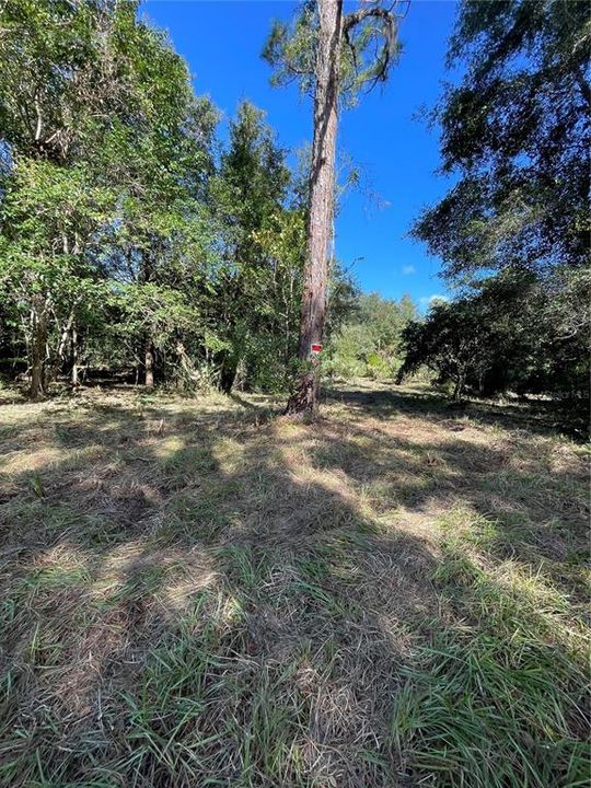 For Sale: $1,275,000 (4.66 acres)