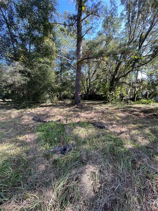 For Sale: $1,275,000 (4.66 acres)