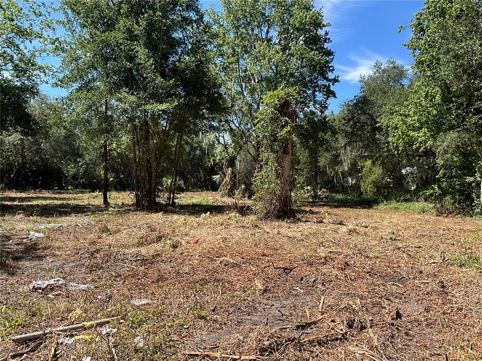 For Sale: $1,275,000 (4.66 acres)