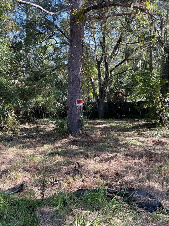 For Sale: $1,275,000 (4.66 acres)