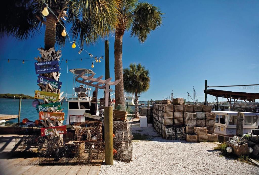 Cortez crab traps.