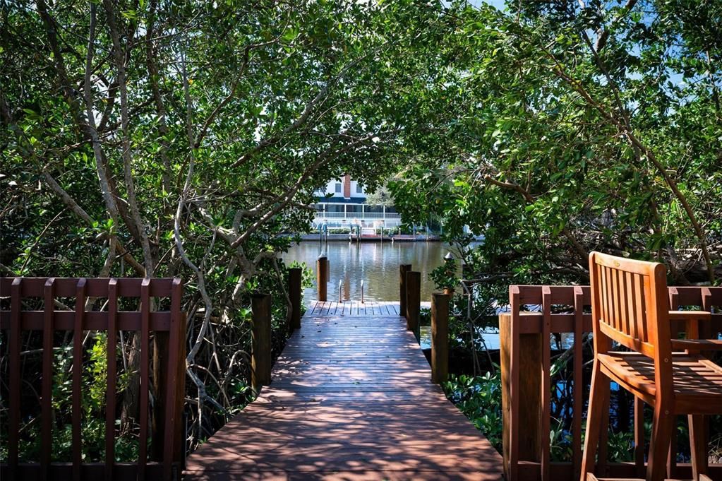 Enjoy watching the manatees swim by.