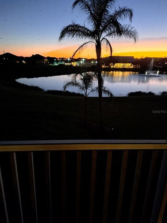 View from the Lanai at night.