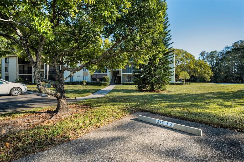 Unit Parking Space - First space to right of sidewalk leading to building