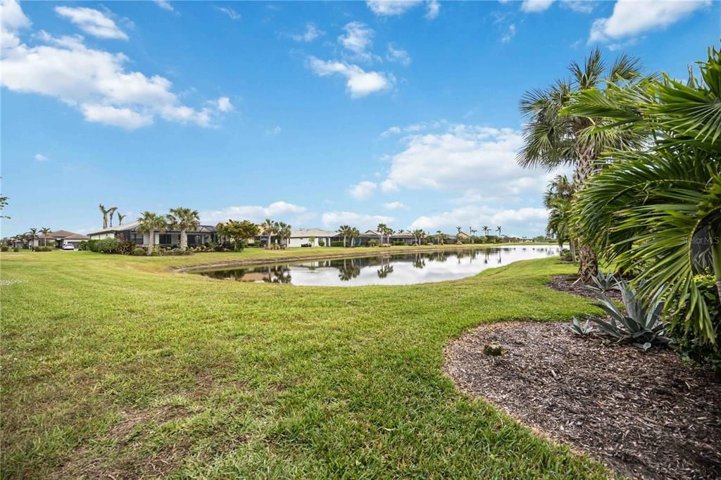 Pond views