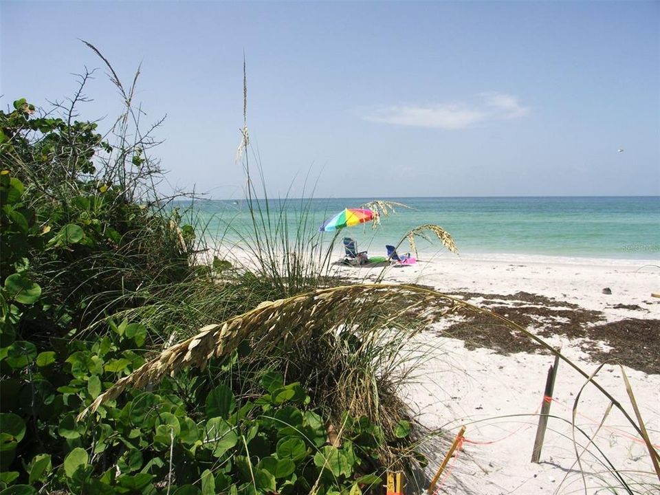 ANNA MARIA ISLAND BEACHES