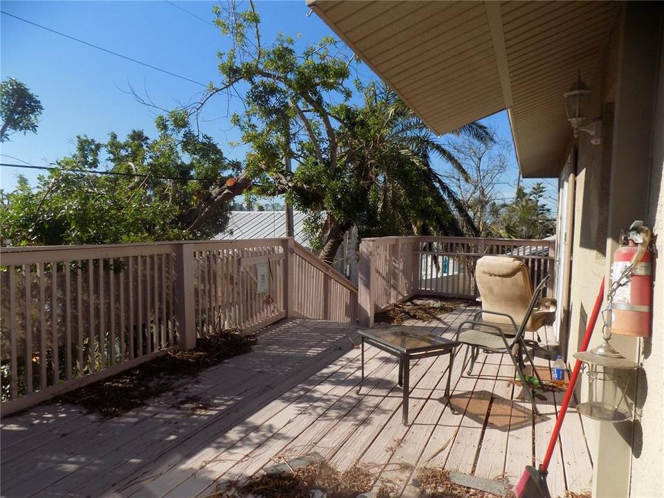 View 3. Lots of vegetation provides a significant amount of privacy.