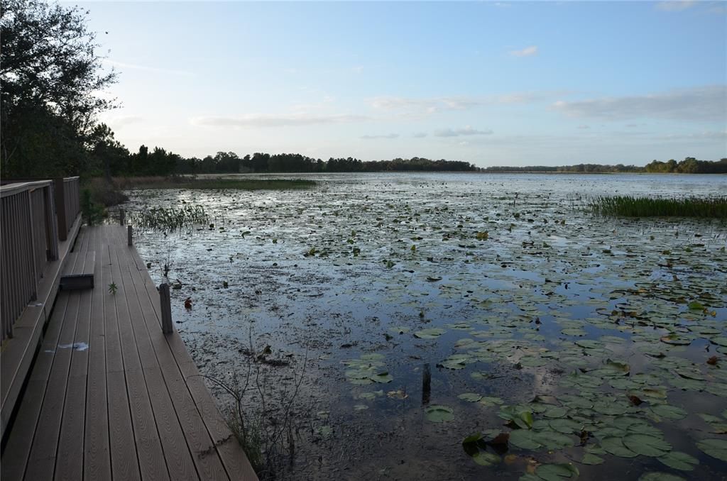 Community Dock