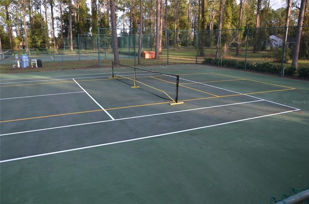 Pickleball Court