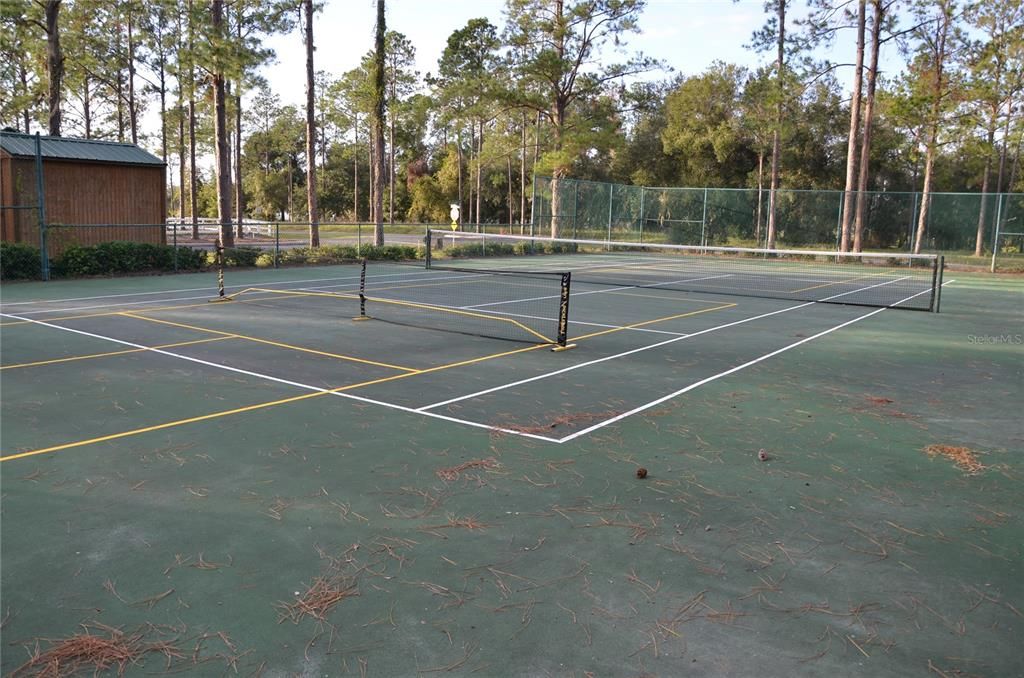 Pickleball Court