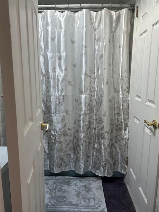 Shower and Tub - Primary Bathroom Upstairs