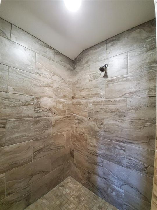 Master Walk-in Shower